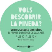 Imatge de complement