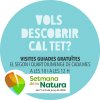Imatge de complement