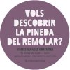 Imatge de complement