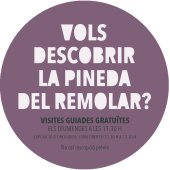 Imatge de complement