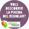Imatge de complement
