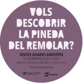 Imatge de complement