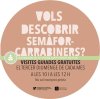 Imatge de complement