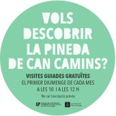 Imatge de complement