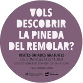 Imatge de complement